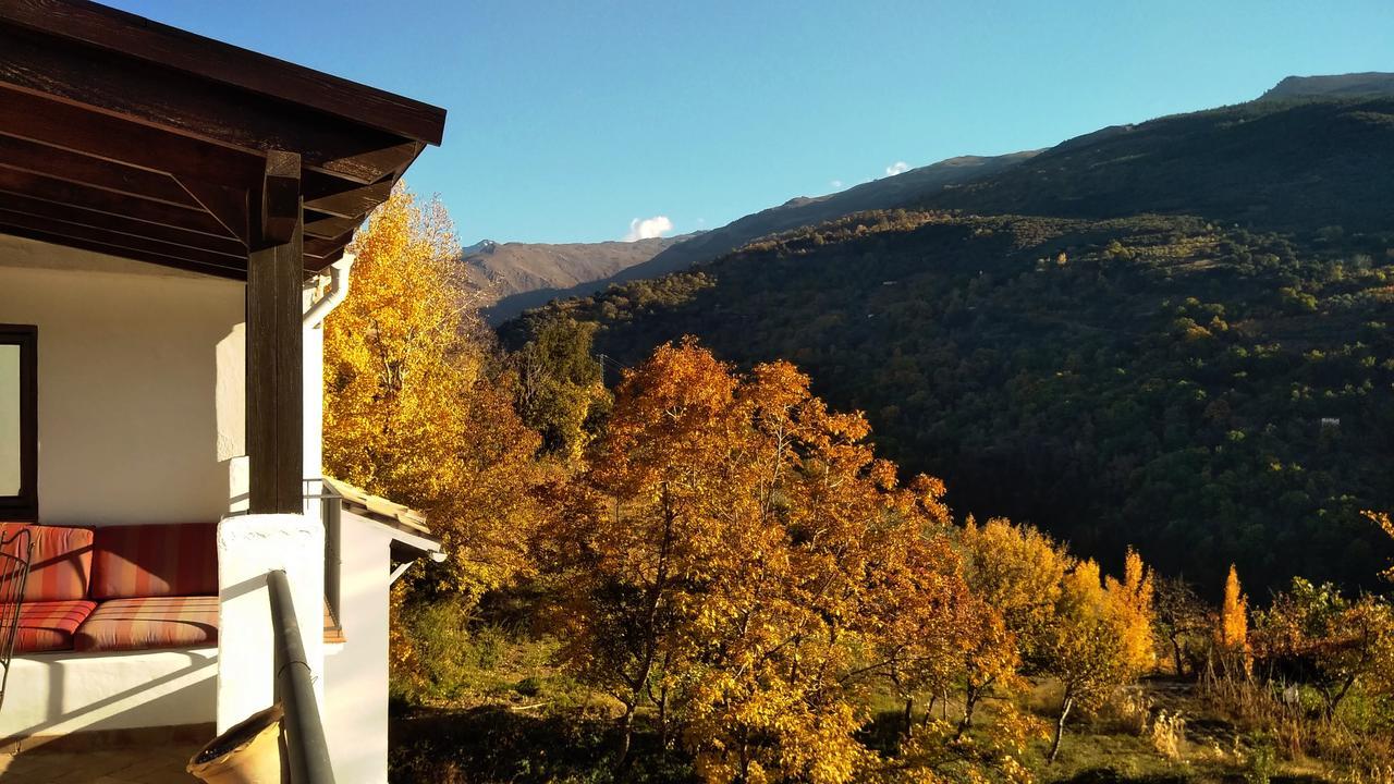 غويخار سييرا Casa Rural Arroyo De La Greda المظهر الخارجي الصورة