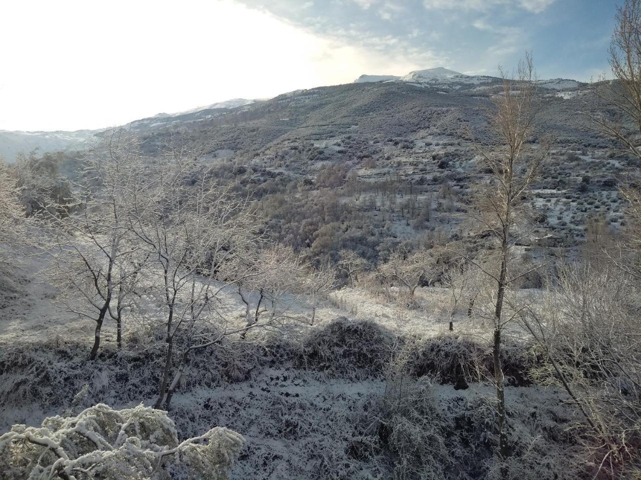 غويخار سييرا Casa Rural Arroyo De La Greda المظهر الخارجي الصورة